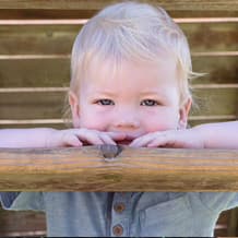 The Toddler Program